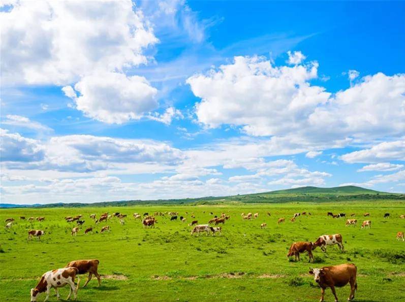 走进内蒙古，深度体验与心得分享