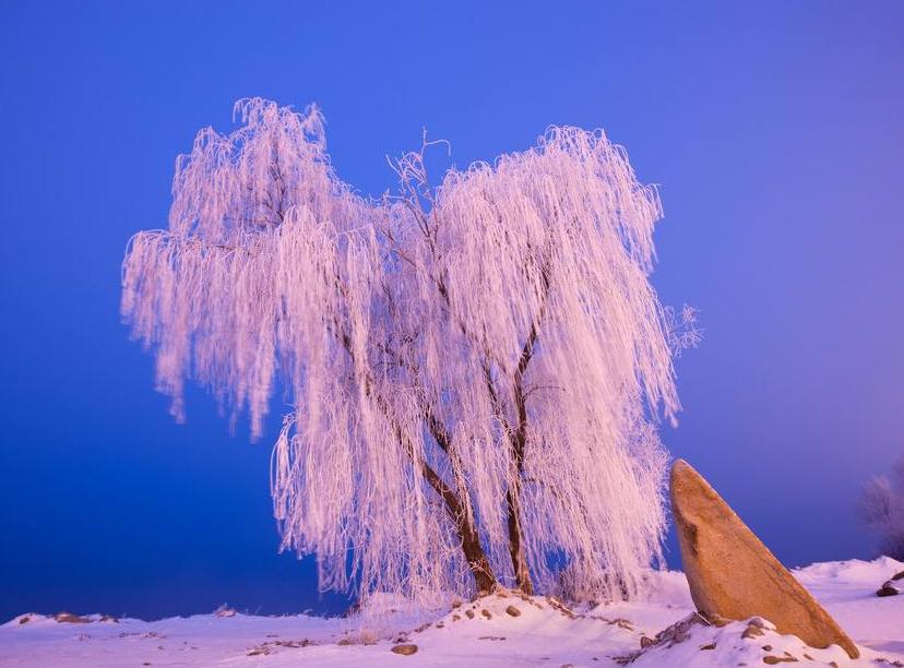 吉林，梦想之城的无限可能