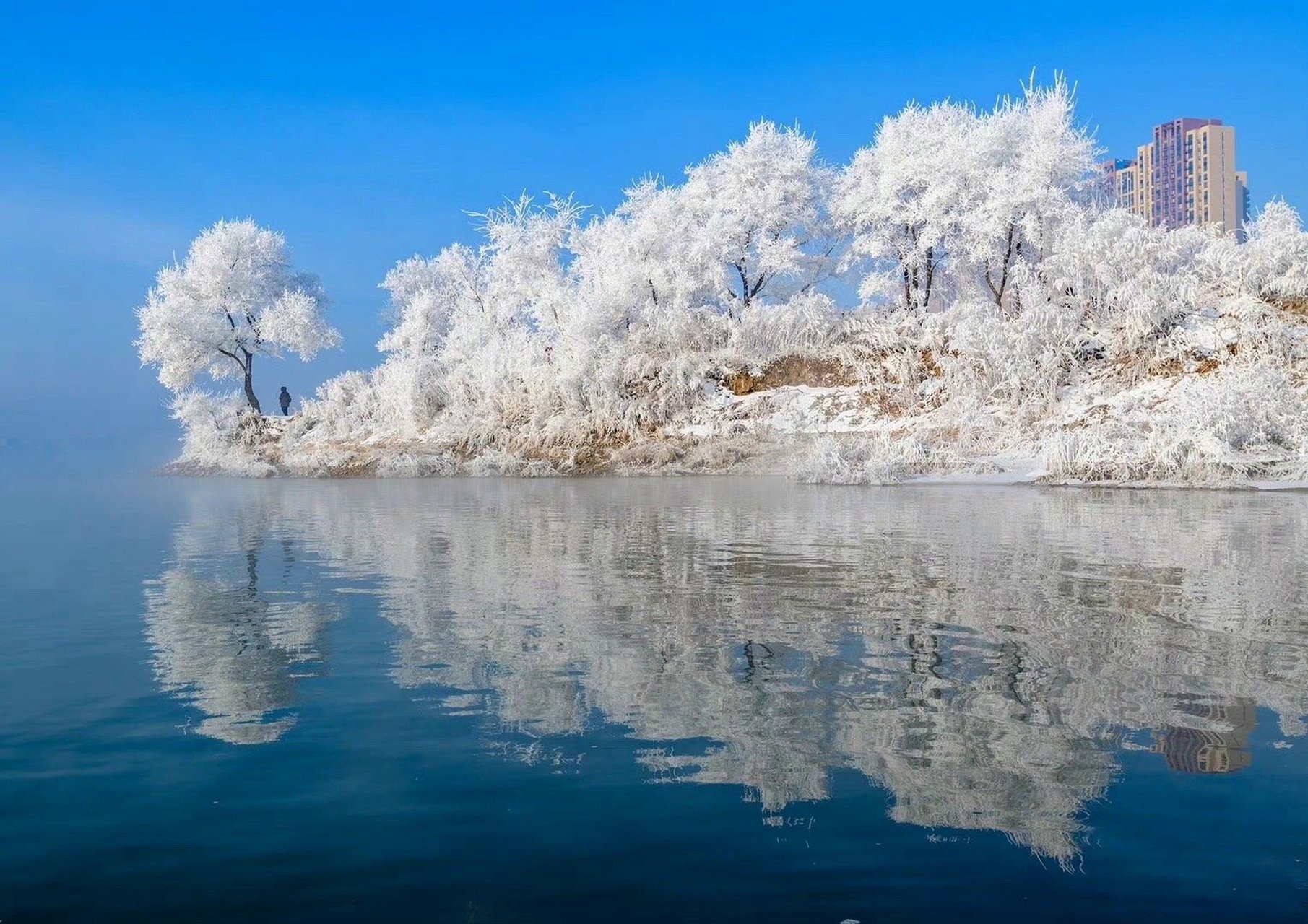 外交部发言人解读吉林一书评论
